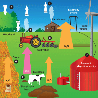 GHG-diagram farming futures