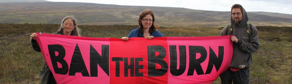 Rebecca Taylor MEP (centre) with environmental activists Dongria Kondh and Keith Wilson