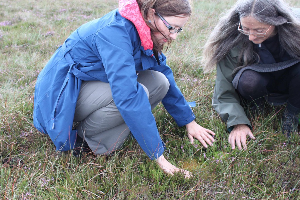 Rebecca_Dongria_tiny patch sphagnum_lores