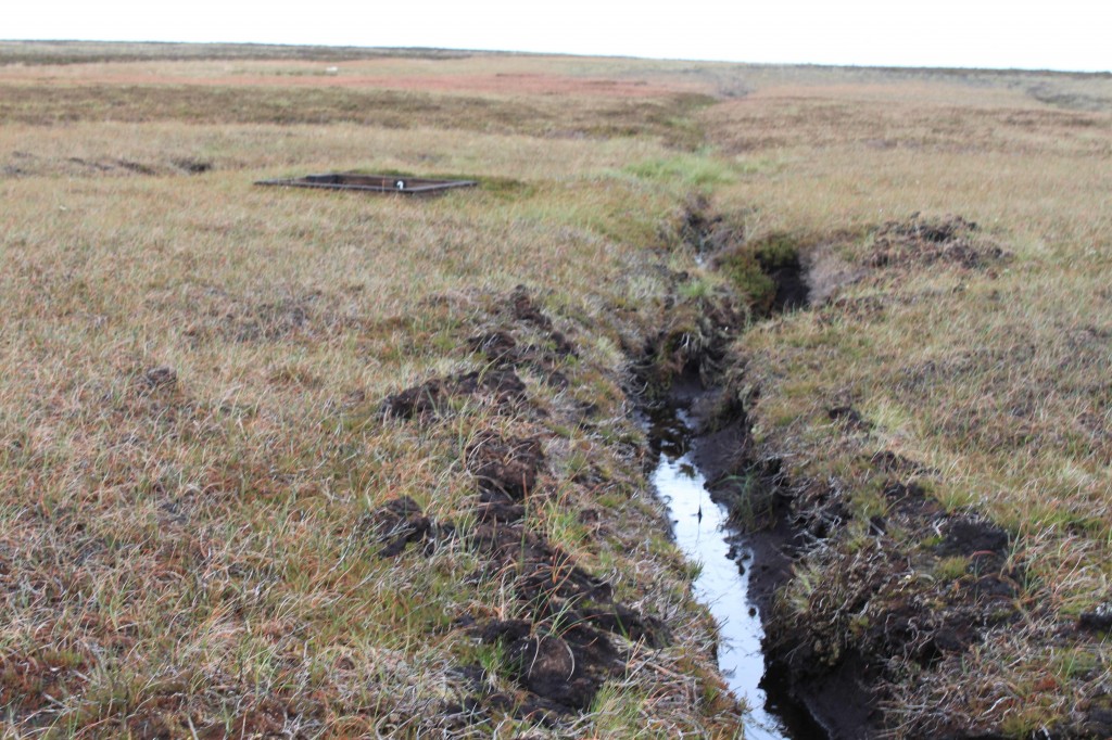 blanket bog drainage ditch1_lores