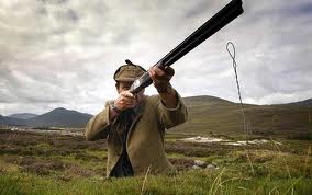grouse shooting_Daily Telegraph