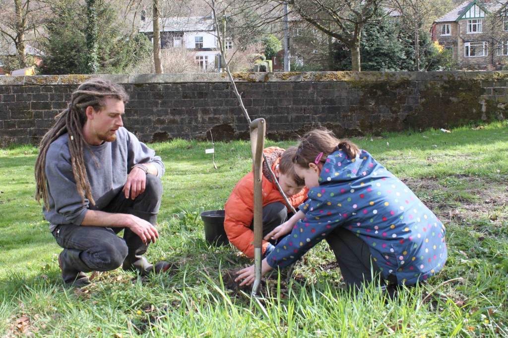 orchard planting lores